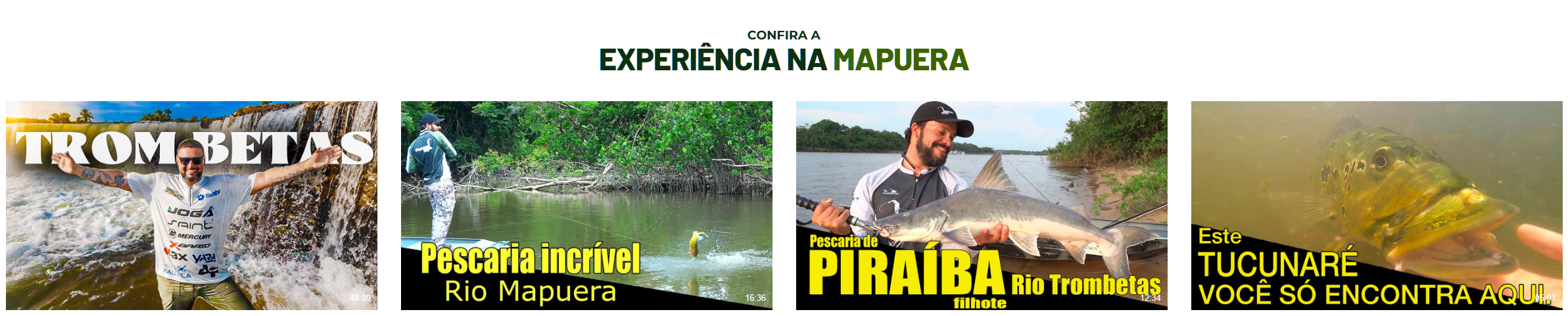 Confira a experiência na Mapuera: vídeos de pescaria nos rios Trombetas e Mapuera
