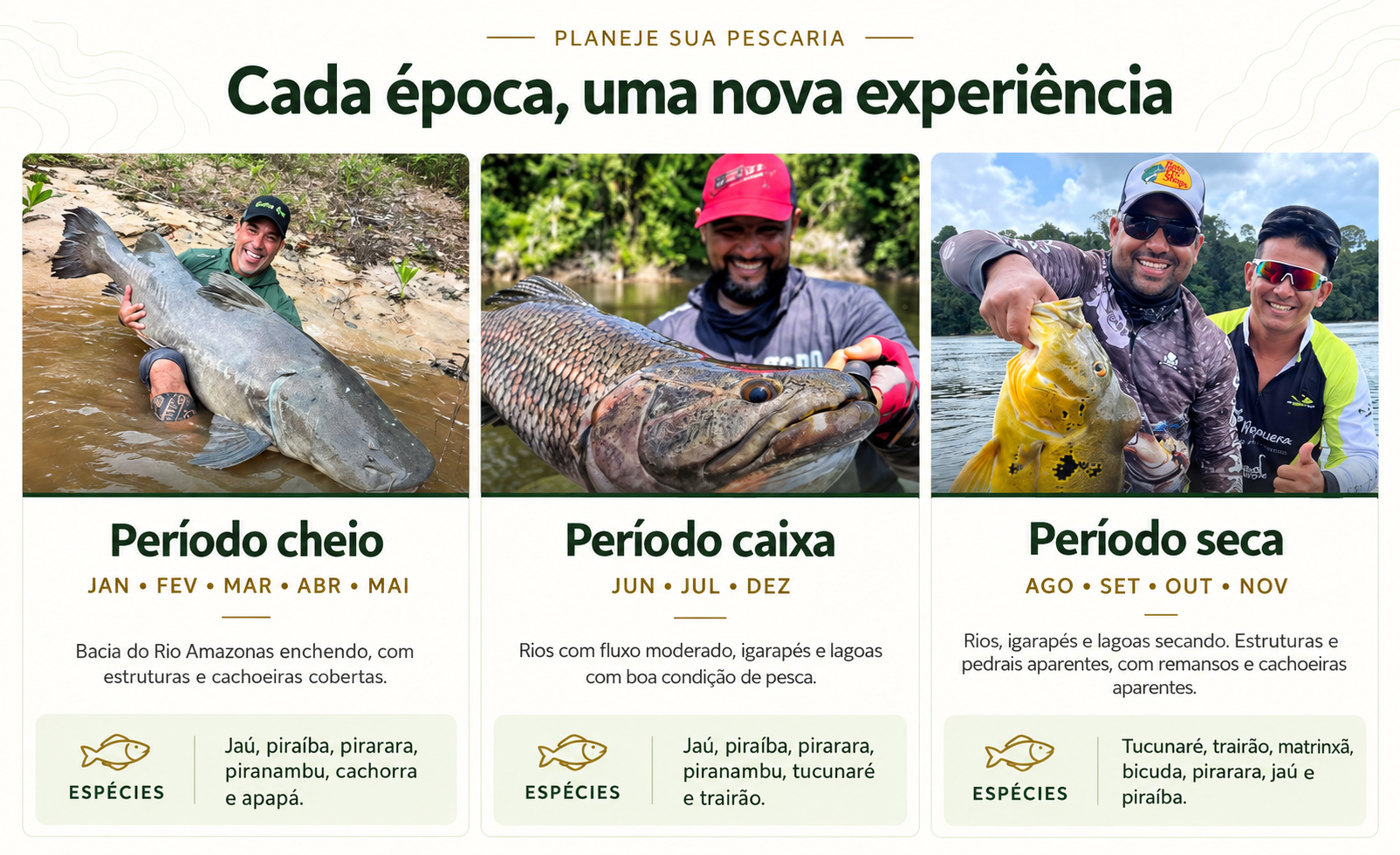 Período cheio, período caixa e período seca na Mapuera, com espécies por época